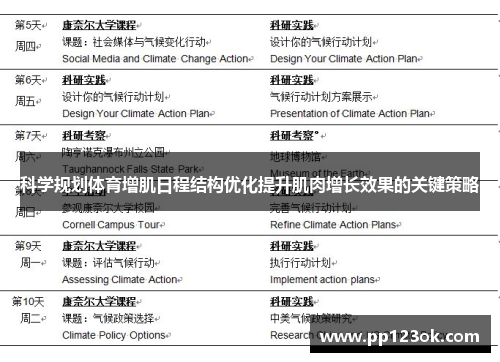 科学规划体育增肌日程结构优化提升肌肉增长效果的关键策略