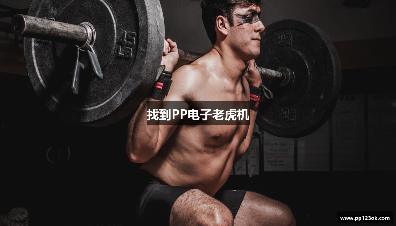 找到PP电子老虎机